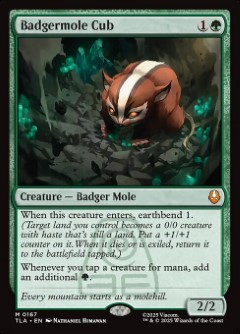 Badgermole Cub Avatar- The Last Airbender